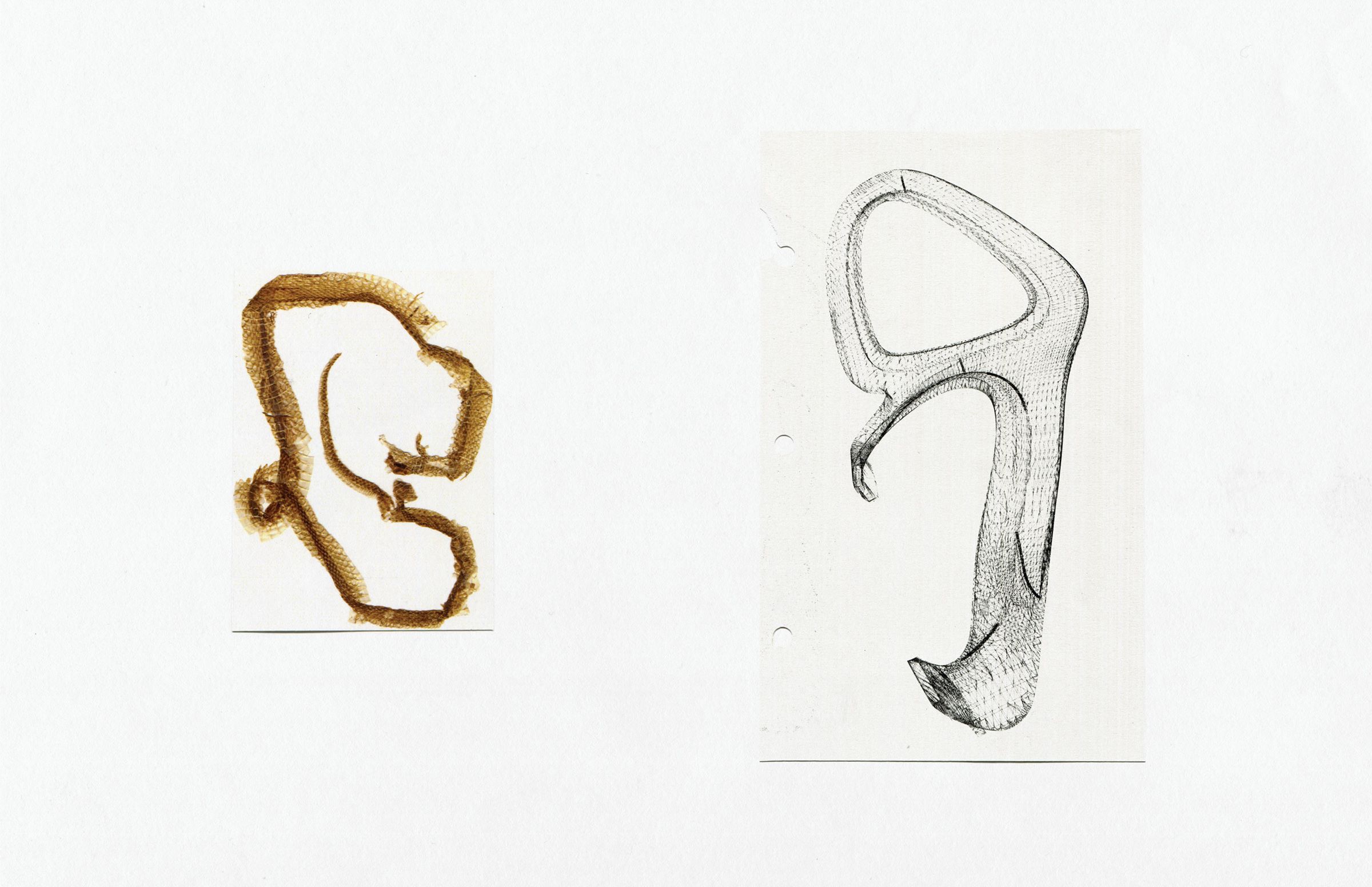 Jordan Tatum 2 design sketch pair